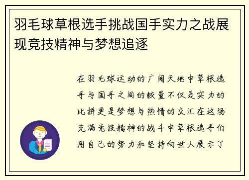 羽毛球草根选手挑战国手实力之战展现竞技精神与梦想追逐