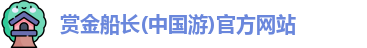 赏金船长
